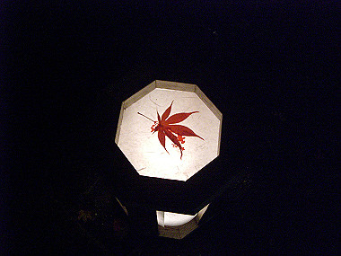 20081130_s922_thumb.jpg