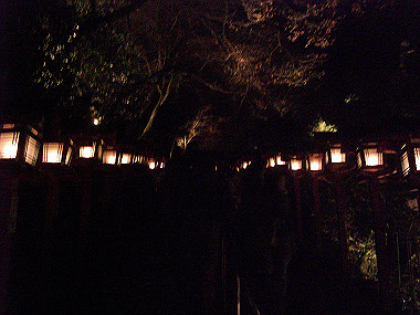 20081130_s924_thumb.jpg