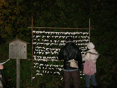 20081130_s932_thumb.jpg