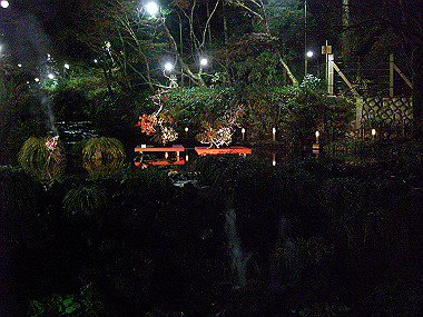 20081130_s947_thumb.jpg