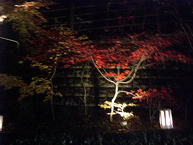 20081130_s950_thumb.jpg