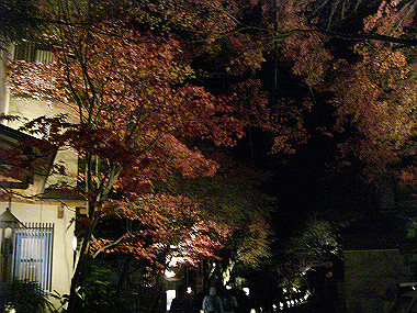 20081130_s951_thumb.jpg