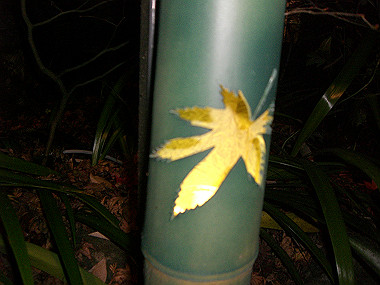 20081130_s955_thumb.jpg