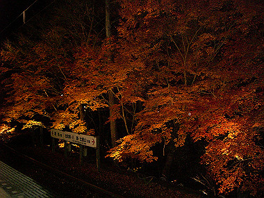 20081130_s957_thumb.jpg