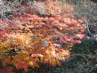 20081130_t114_thumb.jpg