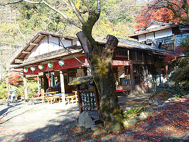 20081130_t120_thumb.jpg