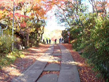 20081130_t121_thumb.jpg