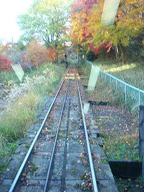 20081130_t127_thumb.jpg