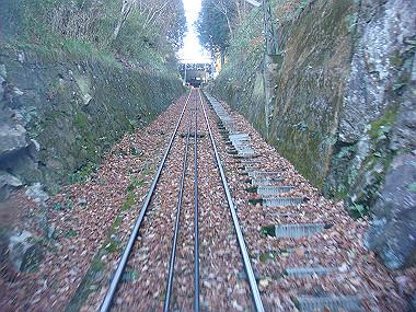 20081130_t136_thumb.jpg