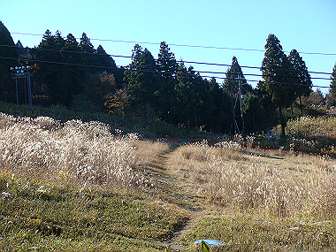 20081130_t148_thumb.jpg