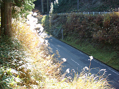 20081130_t150_thumb.jpg
