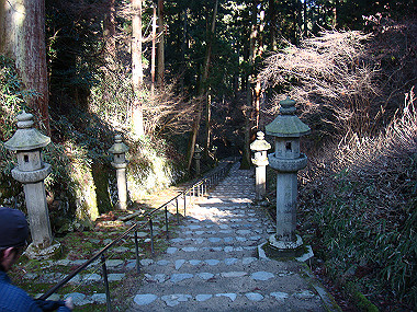 20081130_t154_thumb.jpg