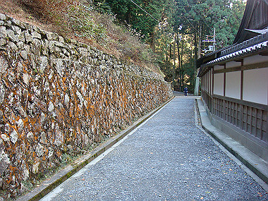 20081130_t158_thumb.jpg