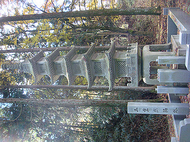 20081130_t170_thumb.jpg