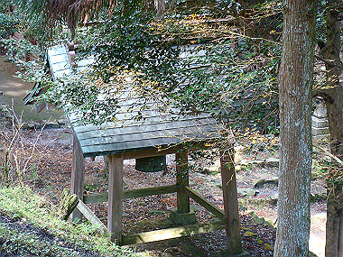 20081130_t171_thumb.jpg