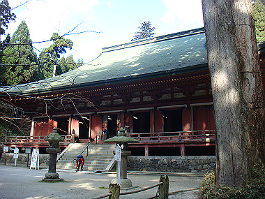 20081130_t174_thumb.jpg