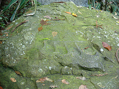 20081130_t178_thumb.jpg