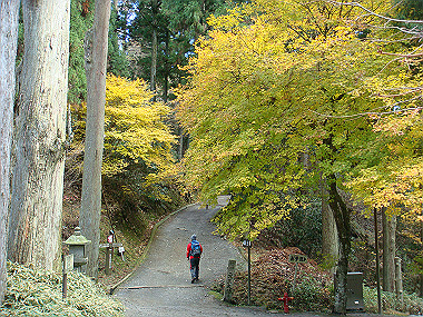 20081130_t179_thumb.jpg