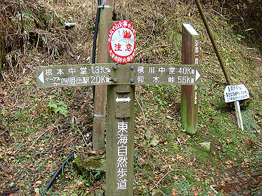 20081130_t181_thumb.jpg