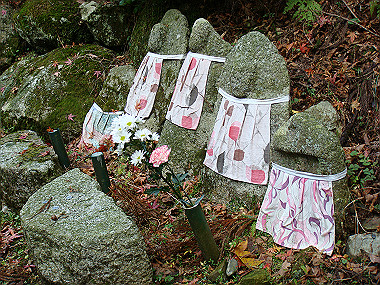20081130_t182_thumb.jpg