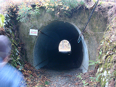 20081130_t185_thumb.jpg