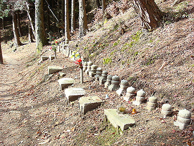 20081130_t188_thumb.jpg