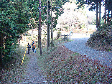 20081130_t193_thumb.jpg