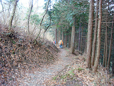 20081130_t196_thumb.jpg