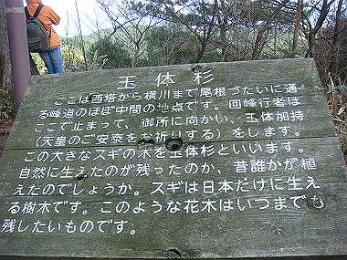 20081130_t197_thumb.jpg