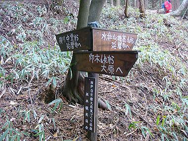 20081130_t211_thumb.jpg