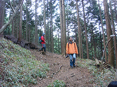 20081130_t212_thumb.jpg