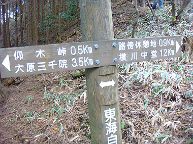 20081130_t214_thumb.jpg