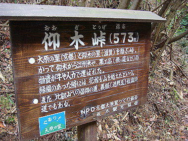 20081130_t217_thumb.jpg