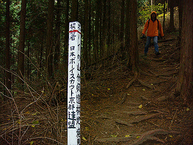 20081130_t227_thumb.jpg