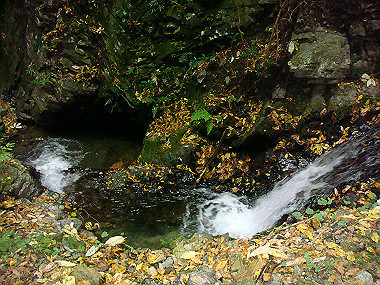 20081130_t232_thumb.jpg