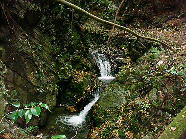 20081130_t233_thumb.jpg