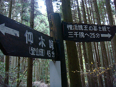 20081130_t234_thumb.jpg