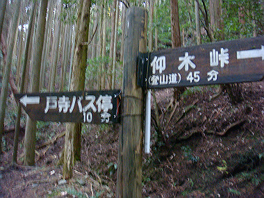 20081130_t235_thumb.jpg