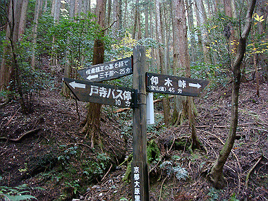20081130_t236_thumb.jpg