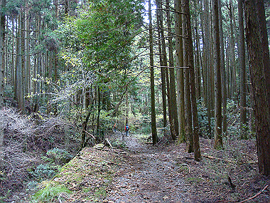 20081130_t237_thumb.jpg