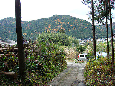 20081130_t240_thumb.jpg