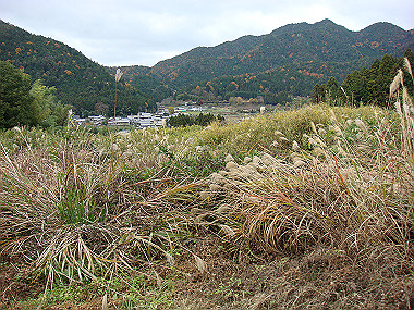 20081130_t241_thumb.jpg