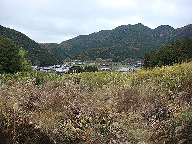 20081130_t243_thumb.jpg