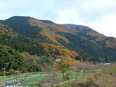 20081130_t256_thumb.jpg