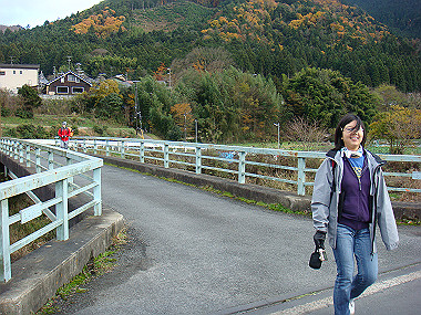 20081130_t259_thumb.jpg