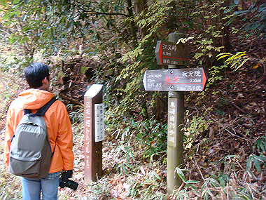 20081130_t263_thumb.jpg