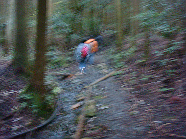 20081130_t267_thumb.jpg