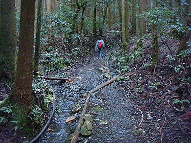 20081130_t268_thumb.jpg