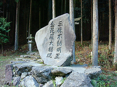 20081130_t270_thumb.jpg