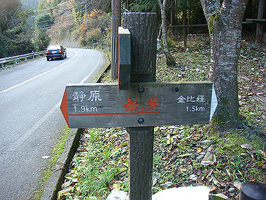 20081130_t271_thumb.jpg